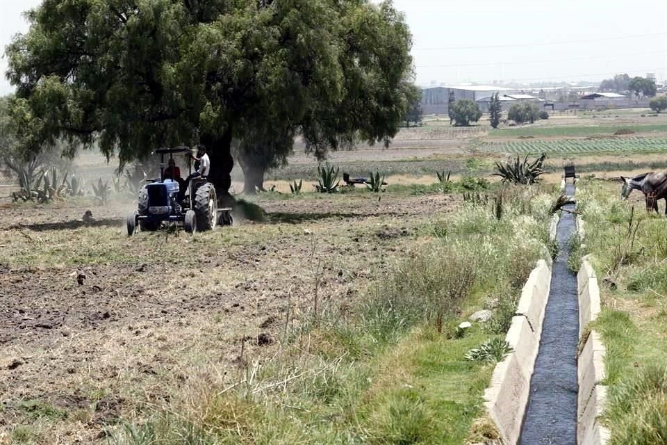 Terrenos ubicados en las inmediaciones de la Base Aérea, donde el Gobierno federal planea construir el Aeropuerto de Santa Lucía.