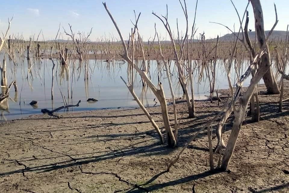 El embalse República Española, en el Municipio de Aldama, que tiene un almacenamiento de apenas 27 por ciento del total de su capacidad.