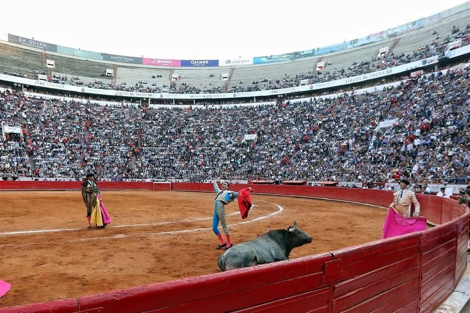 López Obrador consideró que en una consulta ciudadana se puede decidir sobre el futuro de las corridas de toros.