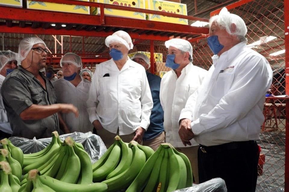 El titular de Sader, Víctor Villalobos, y Javier Trujillo, director de Senasica, recorren un huerto y una planta de empaque de plátano en Tabasco.