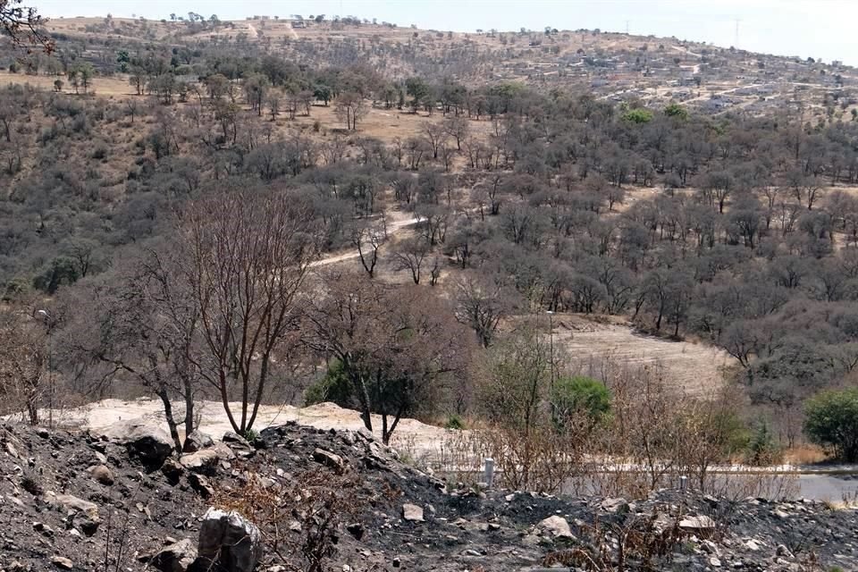 México es uno de los países más vulnerables ante los efectos de ese fenómeno debido a su ubicación geográfica.