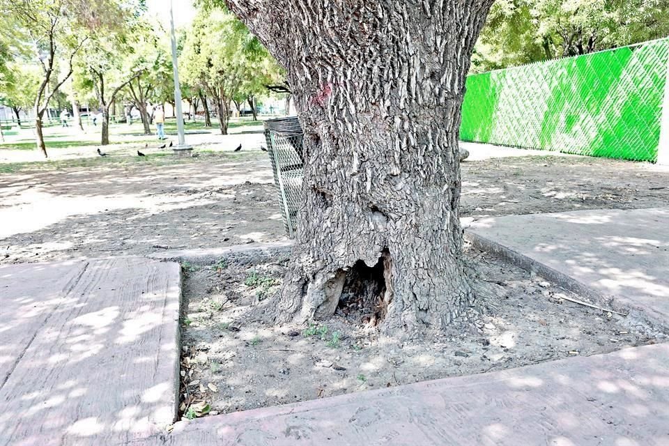 Parque Mississippi