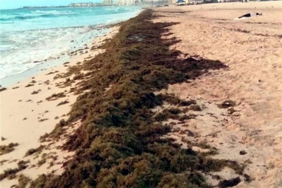 'Me impresionó mucho el panorama. El cambio climático es una de las causas', afirmó Guterres.