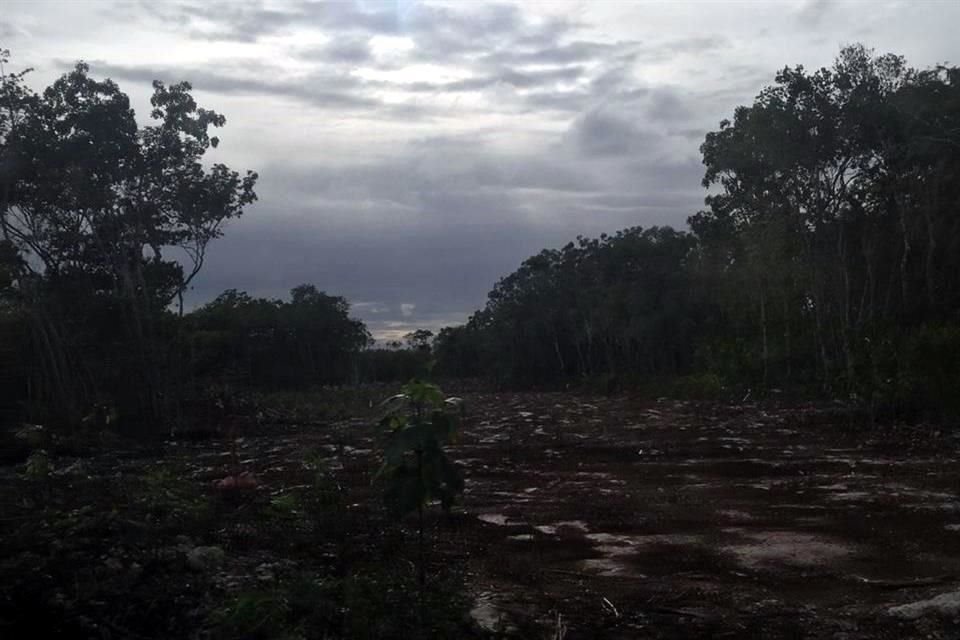 Juan Pedro García Trujillo, residente del Fraccionamiento El Faro, narró que el desmonte colinda con un camino federal por donde pasan las líneas de alta tensión.