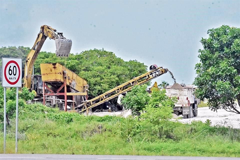 Campeche perdió 18,116 hectáreas de mangle en 35 años, según Conabio; Champotón es uno de los municipios más afectados, por saqueo de arena.