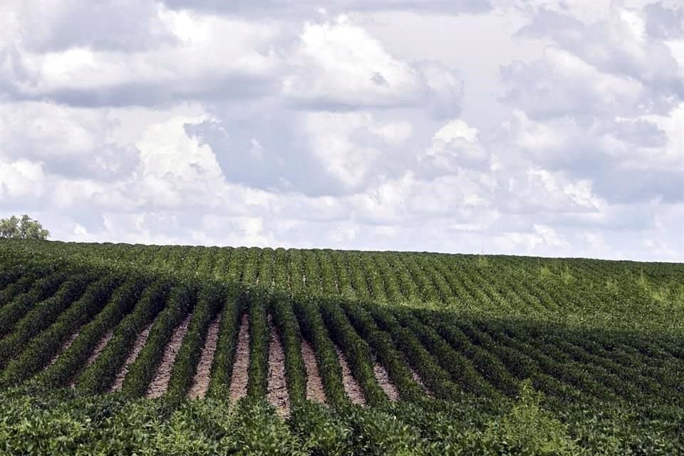 Cumplir la meta del Acuerdo de París requiere nuevos hábitos de consumo de alimentos, advierte el informe especial del IPCC.