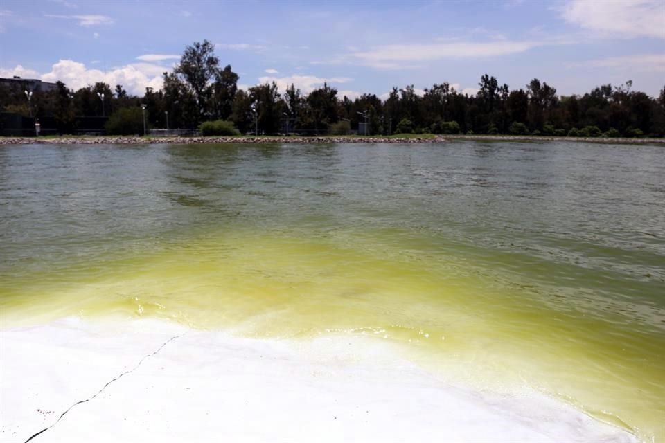 En la Ciudad Deportiva hay 23 contratos de obras con irregularidades, como la alberca portátil de 2 millones de pesos que nunca funcionó