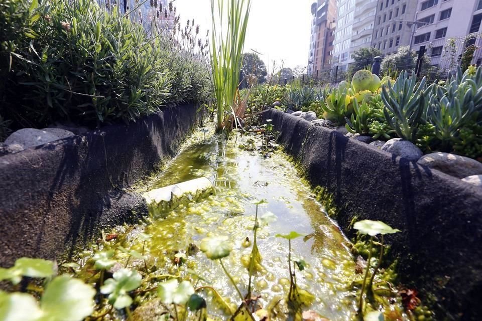 Este domingo será estrenado el Pabellón del Agua, un foro para actividades públicas dentro del parque lineal del Ecoducto, dio a conocer el colectivo de expertos urbanos Cuatro al Cubo