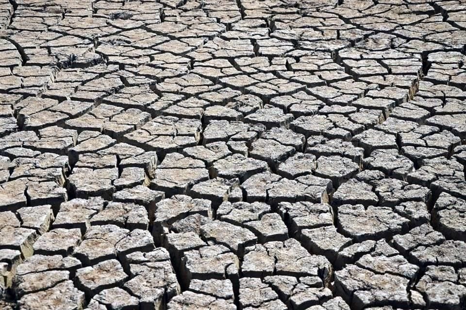 Chihuahua aseguró que durante la primera quincena de agosto hubo una ausencia total de lluvias. 