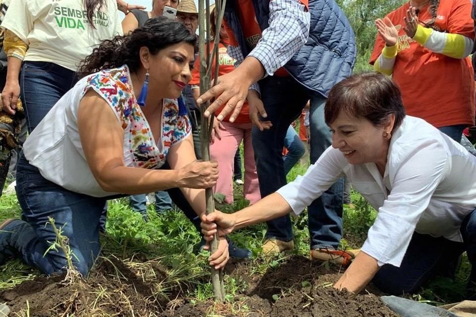 Autoridades de la Secretaría de Medio Ambiente (Sedema) y de la Alcaldía participaron en la primera siembre de árboles.