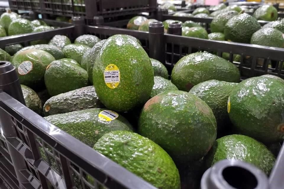 El aguacate y las carnes de cerdo y res agrupan cerca del 70% del total de alimentos que México envía cada año a Japón.