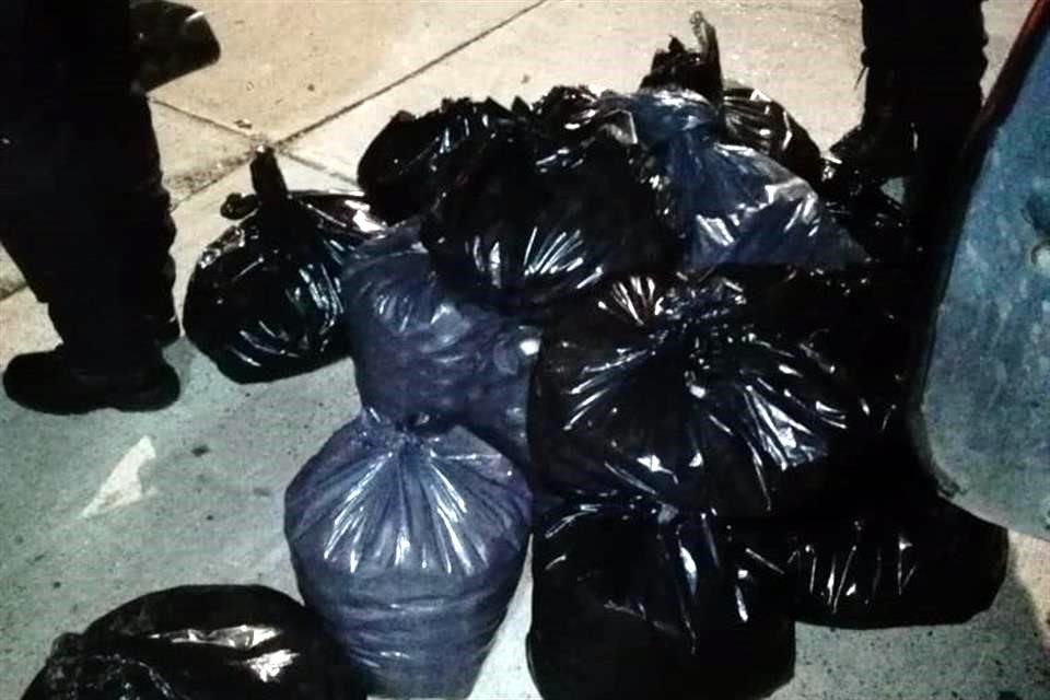 Además de los huevos, las autoridades aseguraron un vehículo y a una persona.