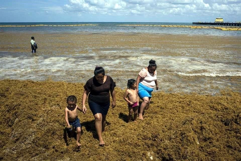 En esta estrategia se contempla la construcción de cuatro barcazas sargaceras, misma que inició el pasado 25 de junio en el Astillero de Marina 3, en el puerto de Coatzacoalcos, Veracruz.