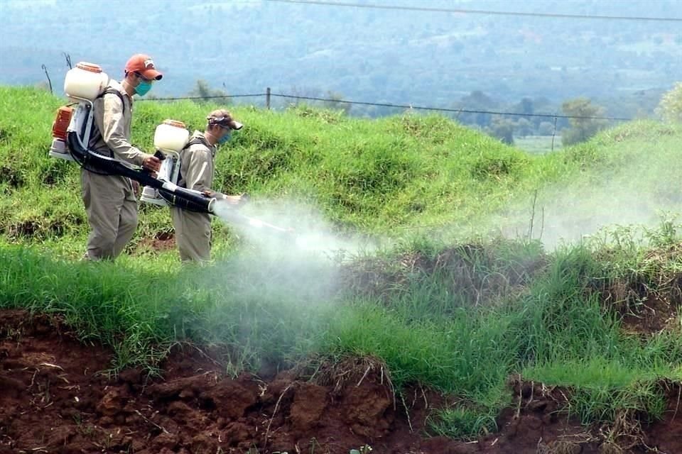 'Son bastantes plaguicidas que están prohibidos en el resto del mundo y que en México se siguen utilizando', afirmó.