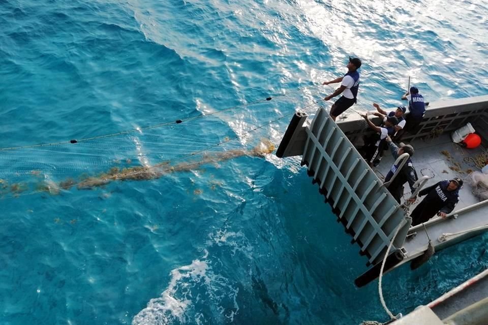 Elementos de la  Secretaría de Marina ejecutando el plan de atención al sargazo en Quintana Roo.