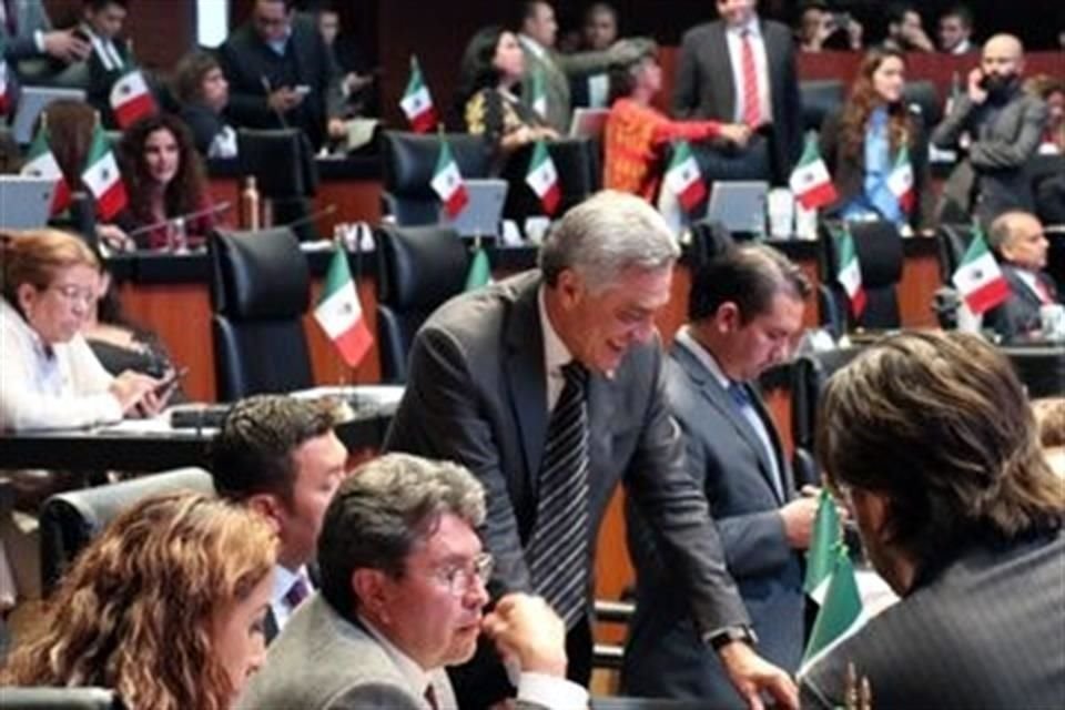 Afirmó que se propondrá la creación de un grupo de trabajo para que los senadores visiten los estados y analicen las pruebas que recabe la Comisión.