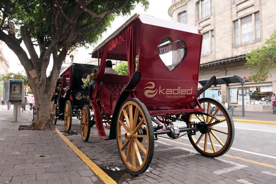La mayoría de las calandrias eléctricas, que deben tramitar placas como cualquier vehículo eléctrico, circula por el centro sin las láminas.