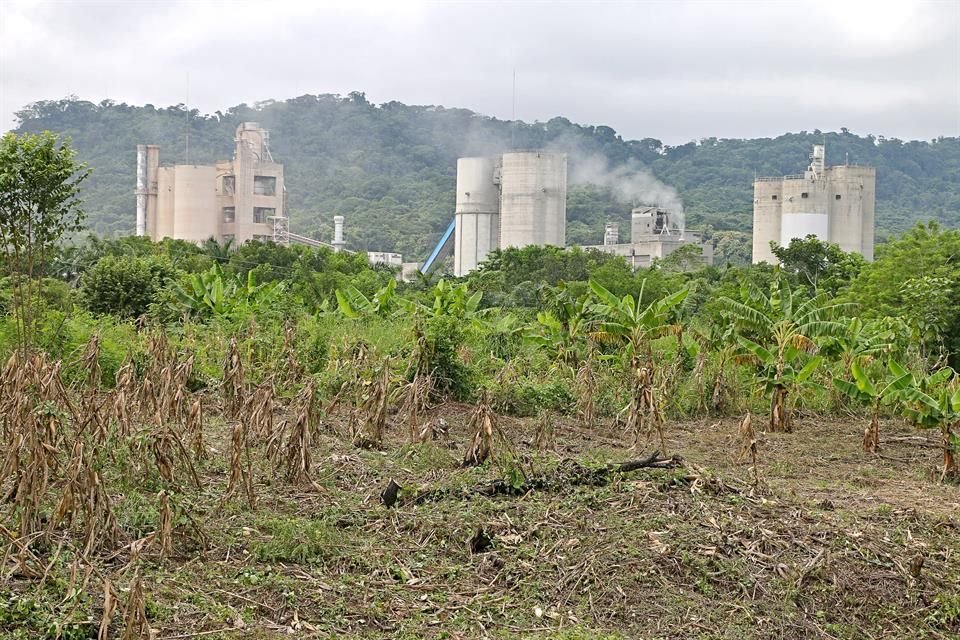 Tiene historia. Tras un decreto de López Portillo, la planta cementera arrancó operaciones en 1982 en terrenos del parque Agua Blanca. Ahora tiene autorizado extenderse en 563 hectáreas de la zona.