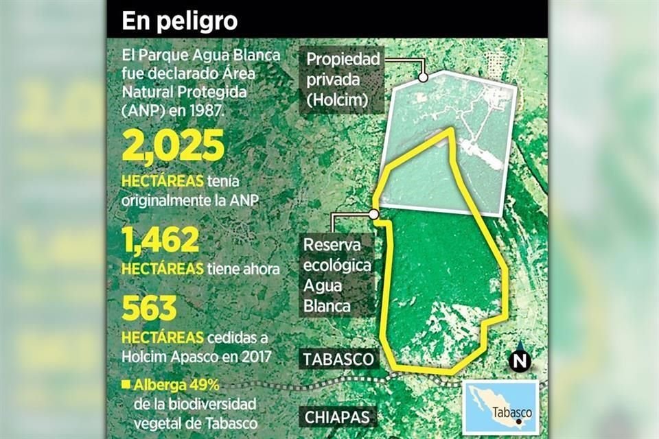 Las autoridades autorizaron que una planta de Holcim-Apasco se extienda sobre una cuarta parte del Parque Estatal Agua Blanca, en Tabasco.