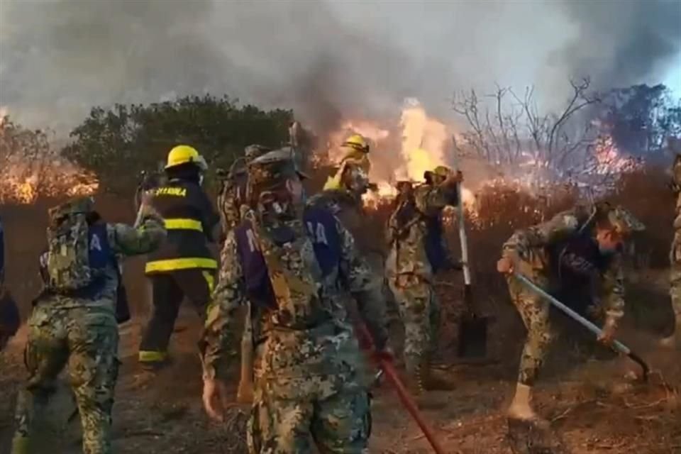 Ávalos Hernández afirmó que este día llegarán refuerzos de brigadistas provenientes de Sonora, Sinaloa y Nayarit para atender el incendio en San José de la Zorra.