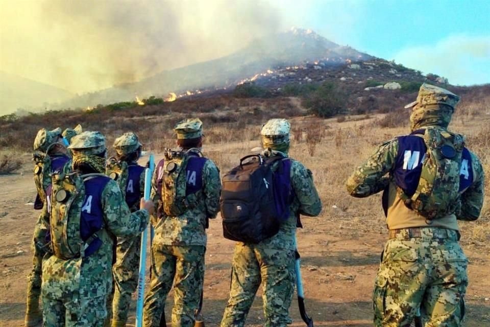 De acuerdo con el Presidente, los incendios ya fueron controlados en un 90 por ciento.