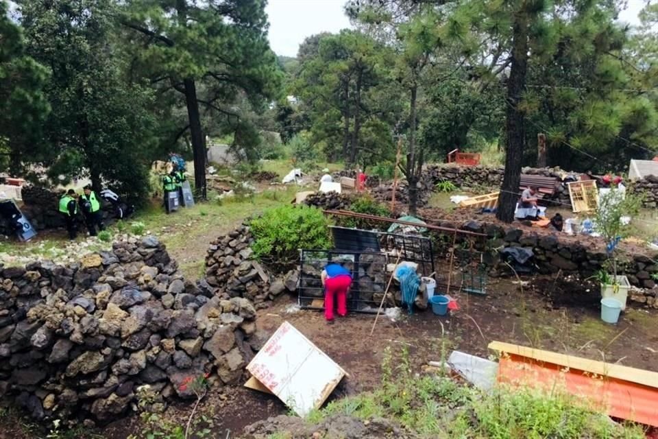 Esto castigo se propone debido al alto impacto ambiental provocado por asentamientos irregulares en las áreas verdes protegidas en la Capital.