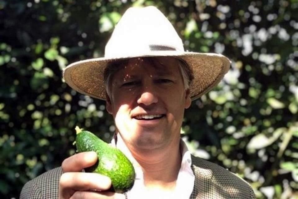 El diplomático visitó un huerto aguacatero para conocer la cadena de producción de ese alimento.