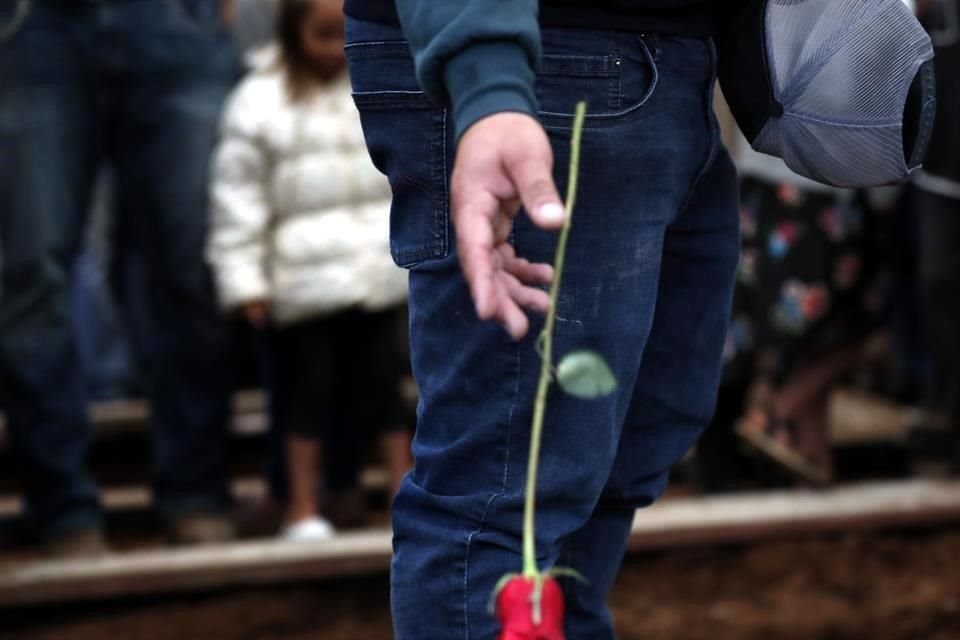 Un doliente deja caer una rosa roja en una tumba recién excavada.