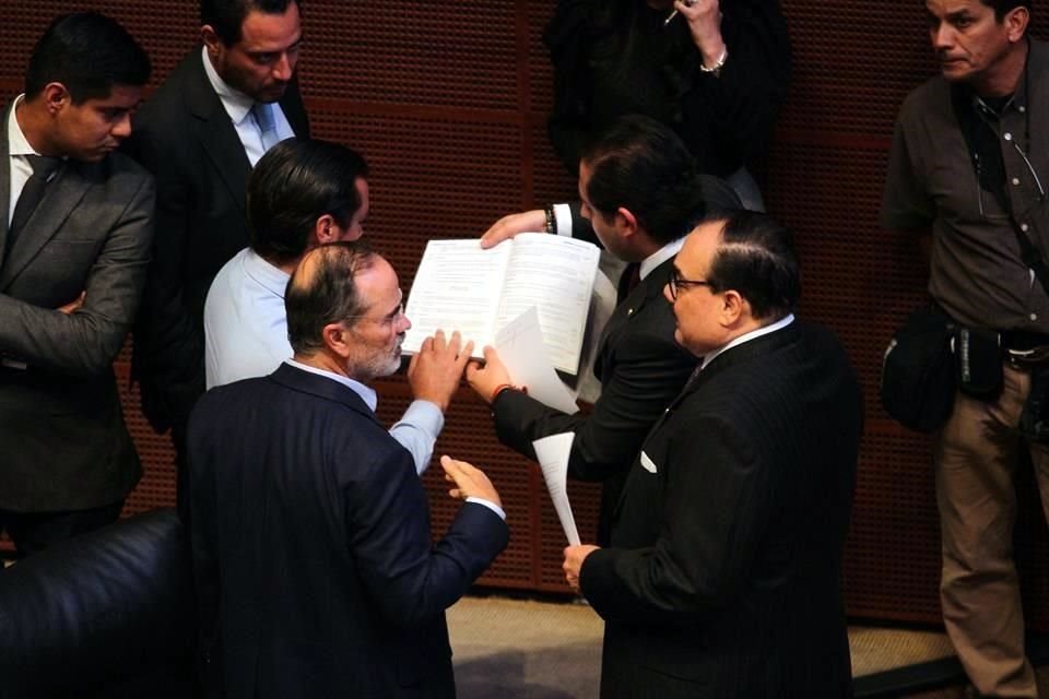 La hija de Rosario Ibarra fue electa en una votación tachada como fraudulenta por la Oposición.