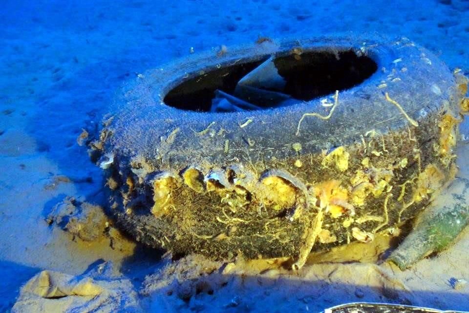 'Al mar entra, más o menos, un camión de basura por minuto. Por eso, estamos buscando persuadir a los legisladores de que son necesarias estas medidas de reducción de plástico', indicó Pedro Zapata.