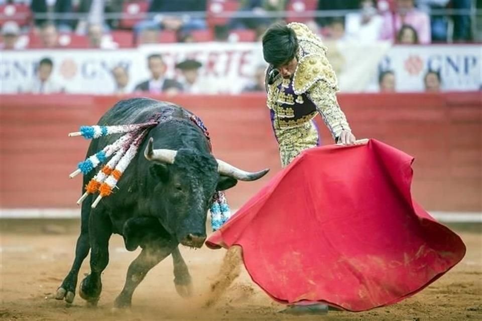 Desde octubre de 2018, la iniciativa fue analizada en el recinto legislativo a petición de la entonces diputada Eugenia Solís Salazar del PAN.