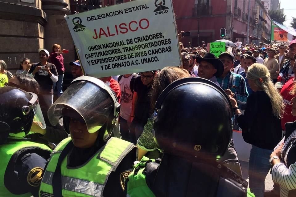 Las mujeres que se manifestaban a favor de la Ley Olimpia fueron desplazadas de la puerta del Congreso capitalino, por locatarios.