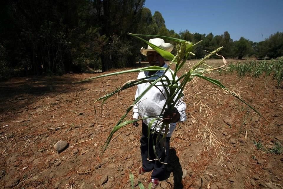 Priistas acusaron a la federación de abandonar a sector productivo del campo. 