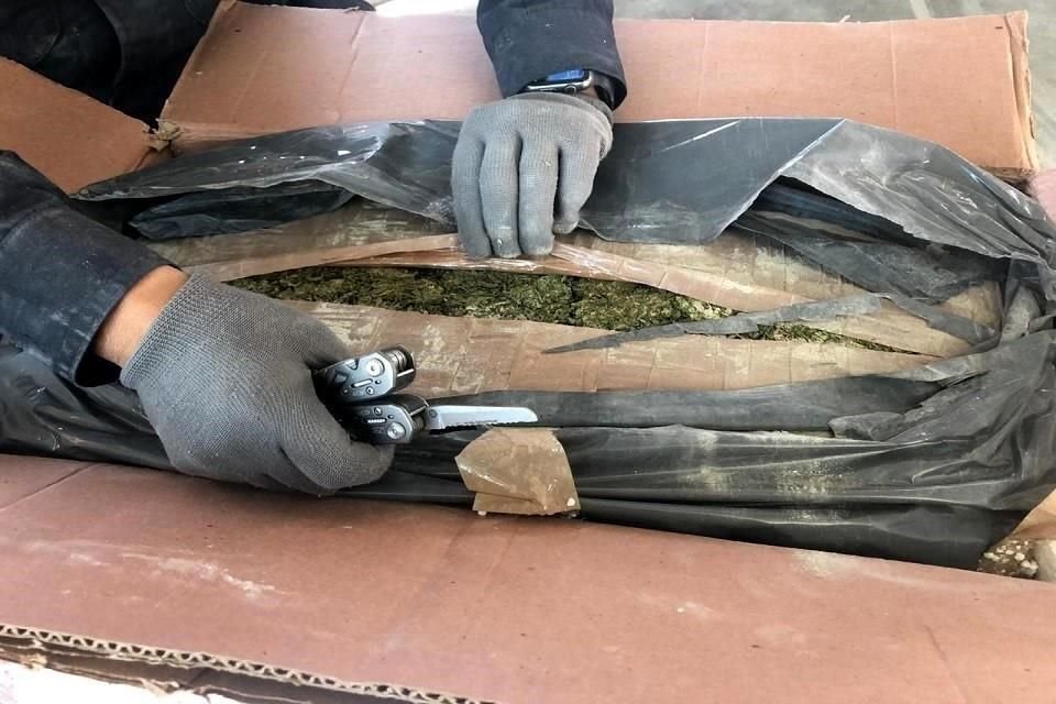 El decomiso se realizó en una empresa de paquetería y mensajería ubicada en la Alcaldía Azcapotzalco.