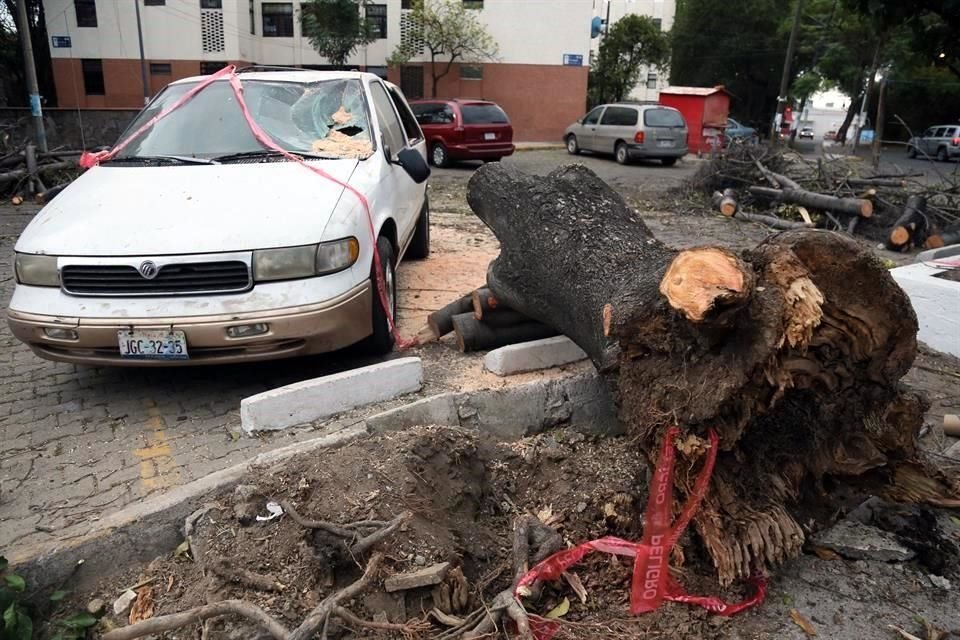 Un árbol cayó sobre esta camioneta en Miravalle.