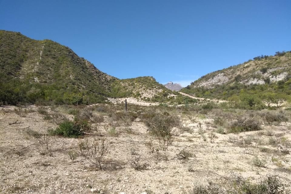 La zona de La Huasteca donde los ejidatarios realizaron los desmontes se encuentra en el Cañón de Ballesteros.