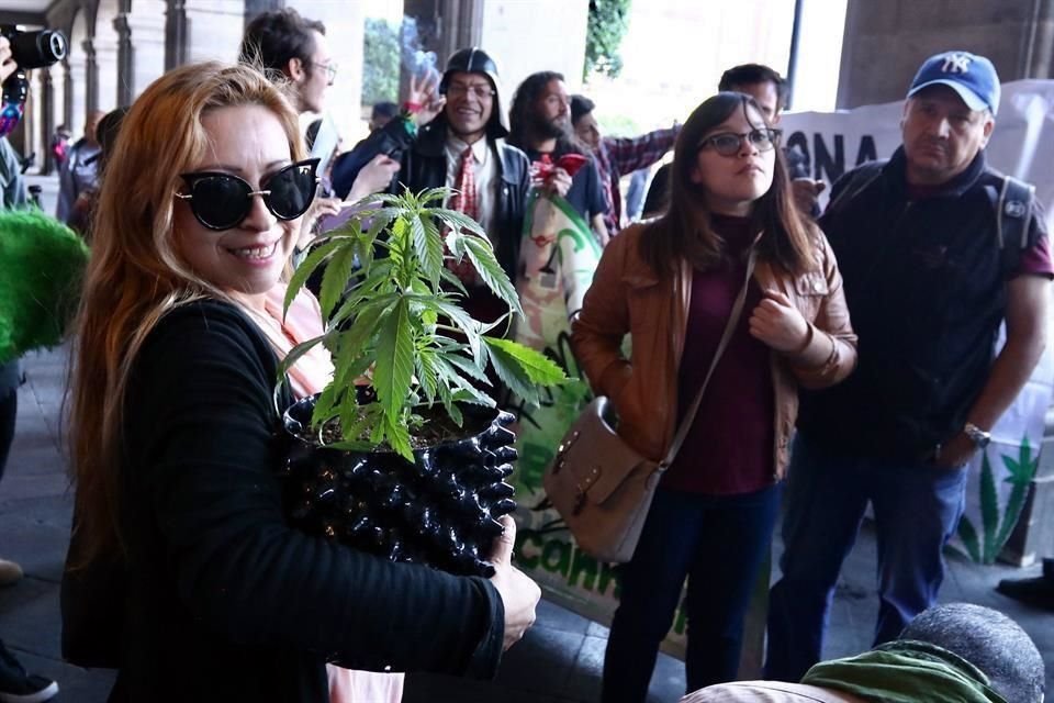 Propuesta de Comisiones del Senado, a discutirse en próximo periodo, aprueba consumo, siembra y aumento de posesión permitida de mariguana.