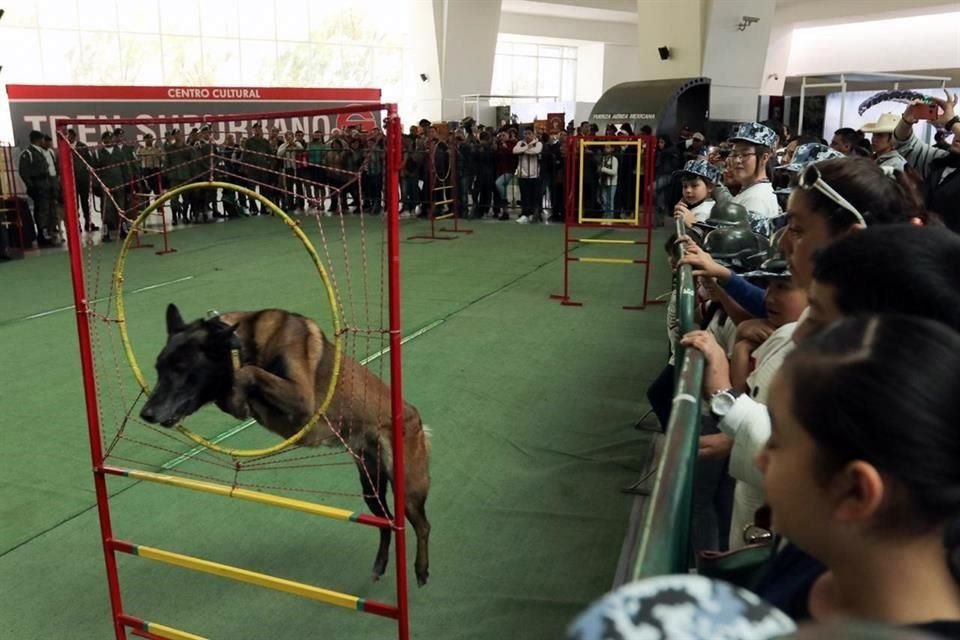 Durante la inauguración, perros entrenados por la Sedena hicieron una demostración.