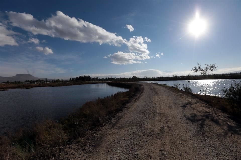 'Había un registro de 355 especies y ahora tenemos un registro de 397 especies de aves', expuso la titular de la Sedema, Marina Robles. 