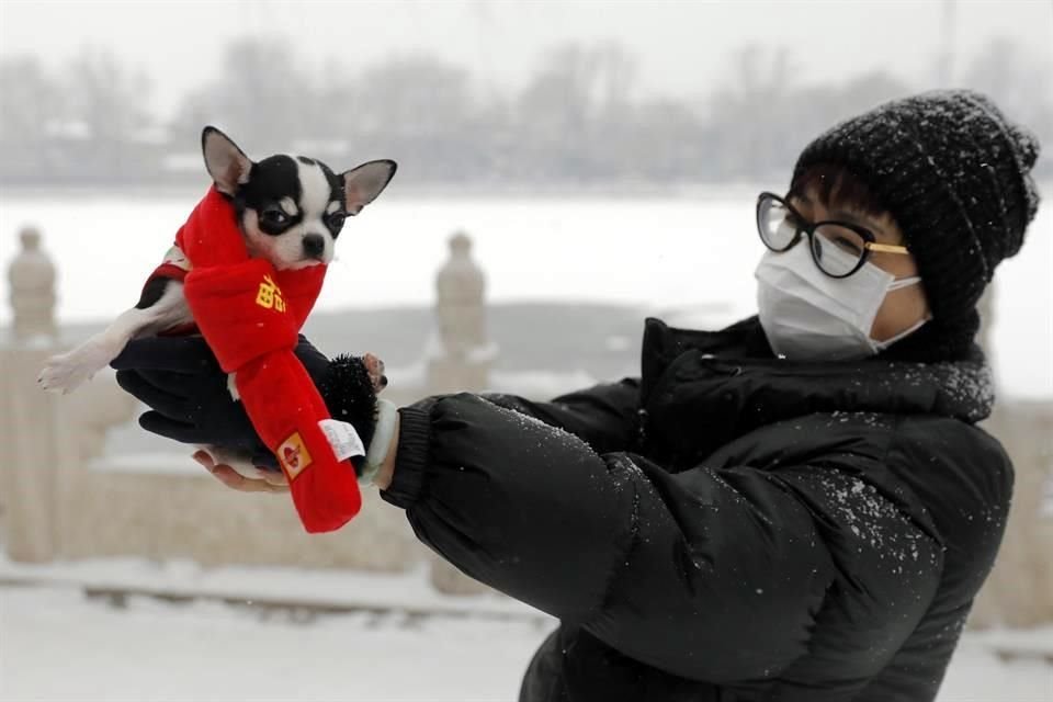 En China, dueños han abandonado a sus animales domésticos por temor a que transmitan la enfermedad, según medios locales.