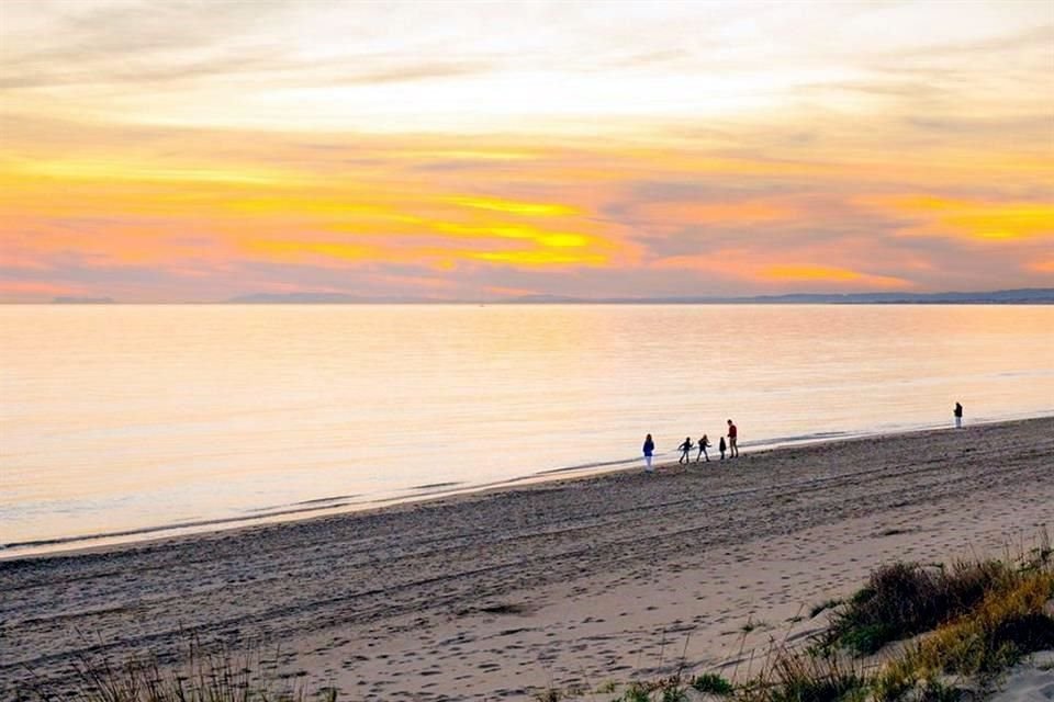 Emilio Lozoya fue capturado en inmediaciones de un residencial de lujo ubicado en Costa del Sol, en Málaga, España.