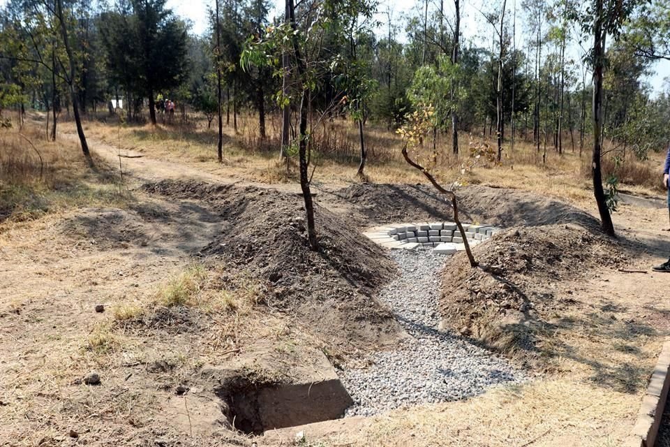 Expertos ven la necesidad de retener lo más posible el agua de lluvia en el Cerro de la Estrella y evitar que aguas provoquen erosión e inundaciones en la zona baja.