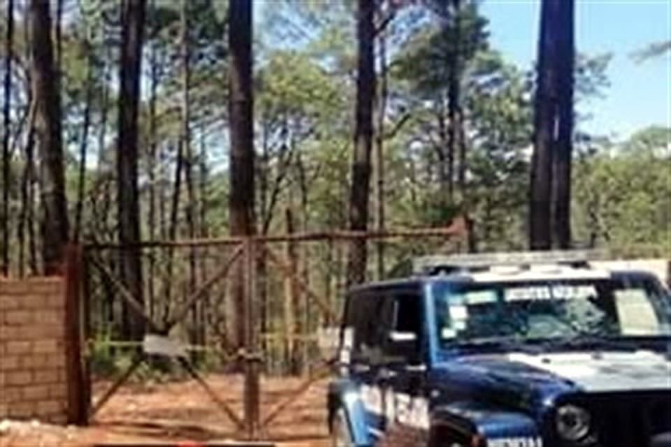 Las autoridades pidieron a la población evitar salir de sus casas, hasta que el ejemplar sea localizado.