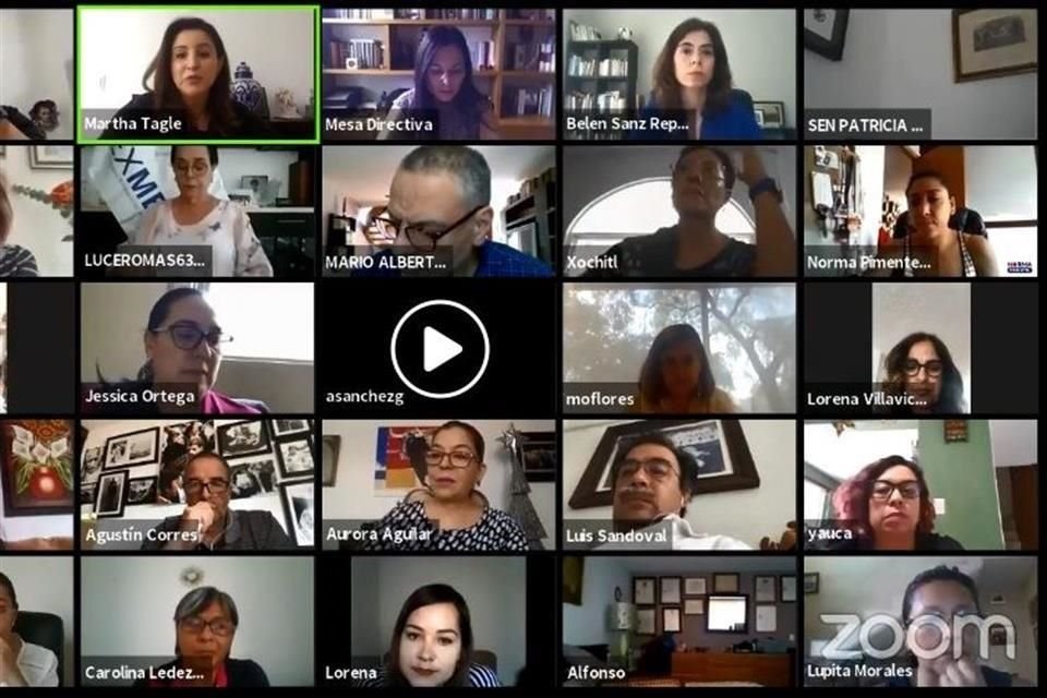 La diputada Martha Tagle organizó el evento.