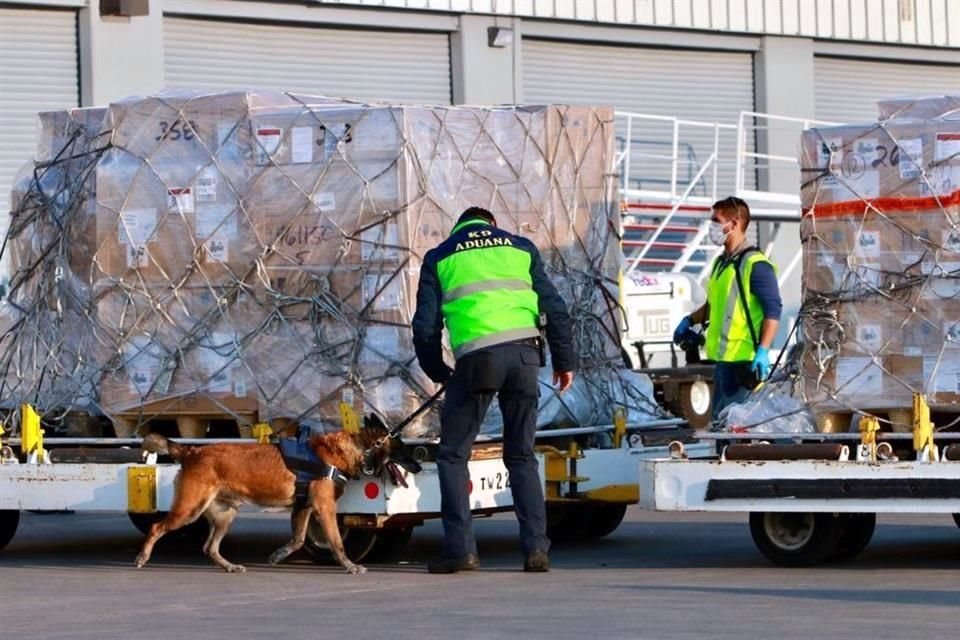 Un binomio canino inspecciona la carga.