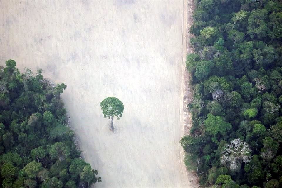 Vista aérea de la Amazonía deforestada cerca de Porto Velho, en agosto de 2019.