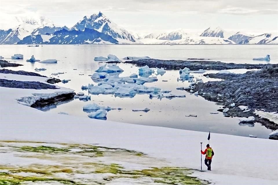 La 'nieve verde' compuesta por algas microscópicas crecerá en la Antártida conforme aumente la temperatura del planeta, alerta estudio.