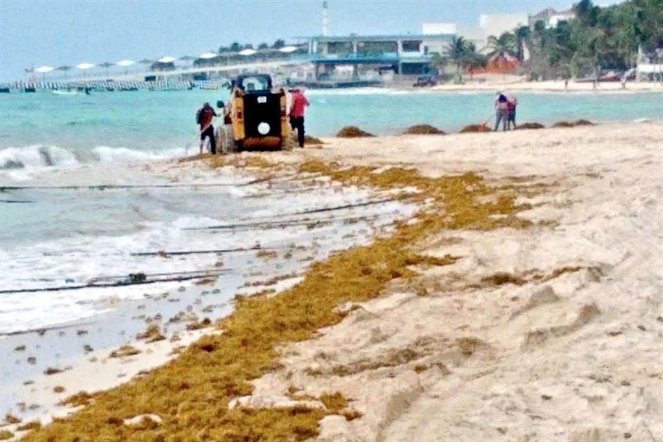 Playa del Carmen es uno de los destinos afectados por el sargazo.