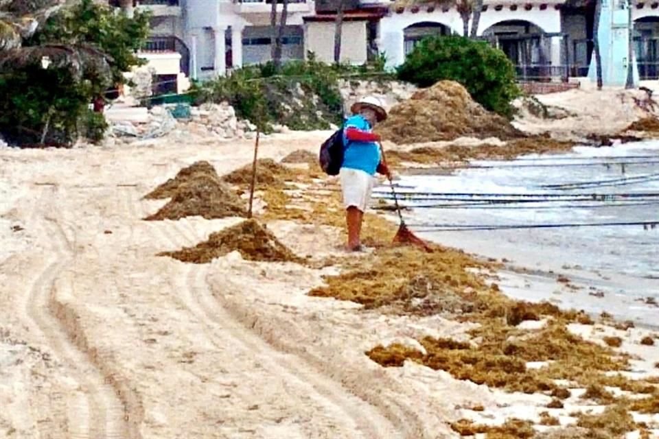 El sargazo llegó a Cancún, el principal destino de QR.