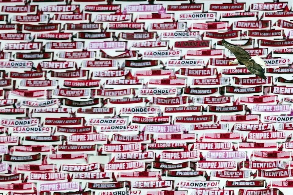 La postal del Estadio de la Luz.